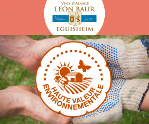 Logo HVE Maison Léon Baur